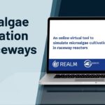 Image shows the title of a webinar recording about microalgae cultivation in raceways: An online virtual tool to simulate microalgae cultivation in raceway reactors